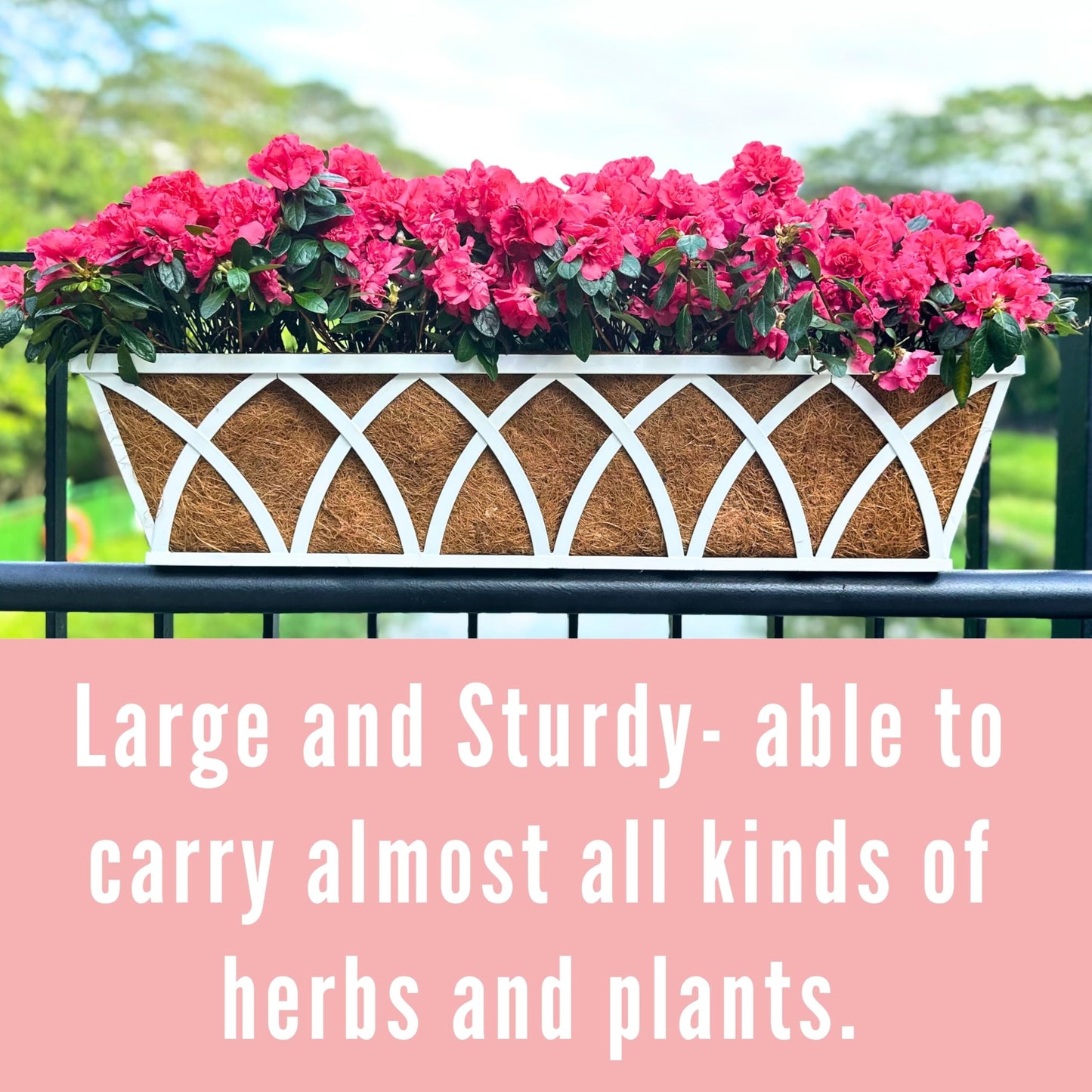 LalaGreen Bundle-2 Pack,24 Inch White Rectangular + 2 Pack,16 Inch White Metal Hanging Planter with Coco Liner, Window Deck Fence Rail Flower Pots,Farmhouse Wall Mount Balcony Porch Outdoor Basket Box
