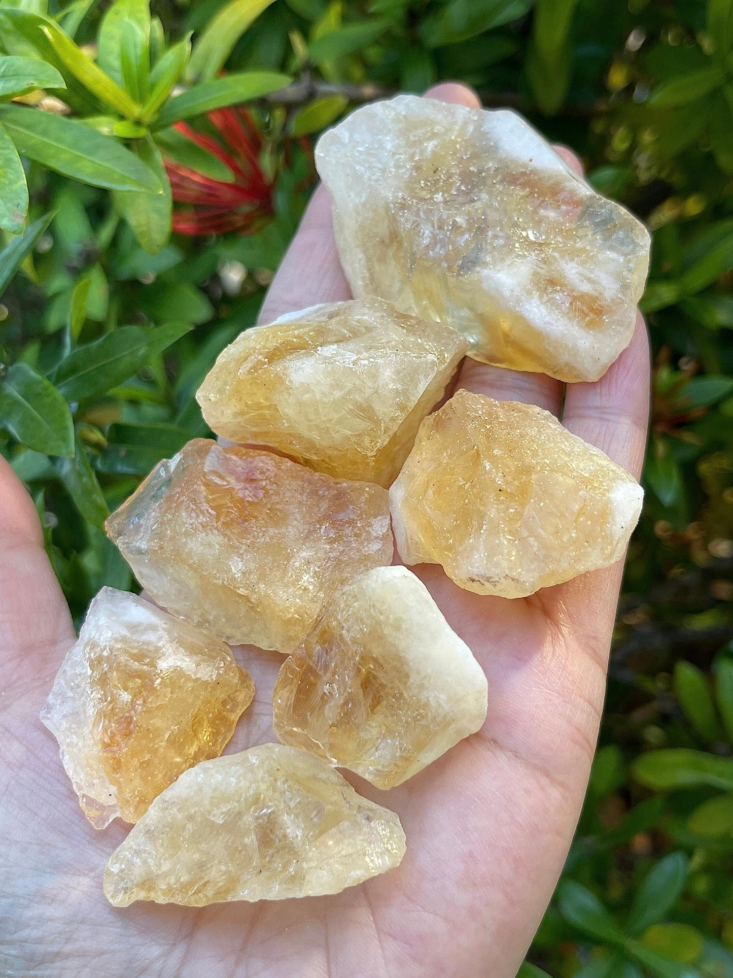 GAF TREASURES Wholesale Raw Citrine Crystals, Natural Citrine Stone, Natural Rough Citrine Crystals, Citrine Rough, Citrine Healing Crystals (Citrine, 0.25 Pound)