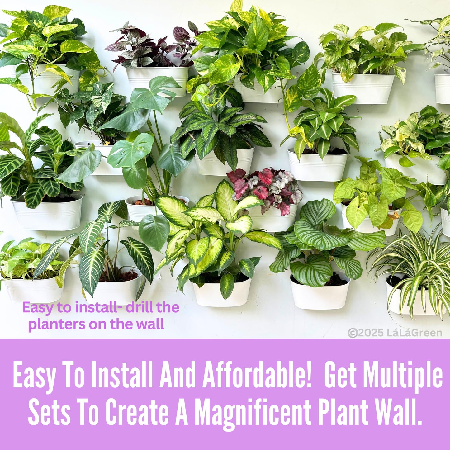 LaLaGreen Wall Planter (9.8 Inch, 10 Pack) White Oval Metal Hanging Decor Plant Holder Wall Planters for Indoor Plants Porch Plants Balcony Decoration Pot Baskets Pots Mounted Indoor Window Planters