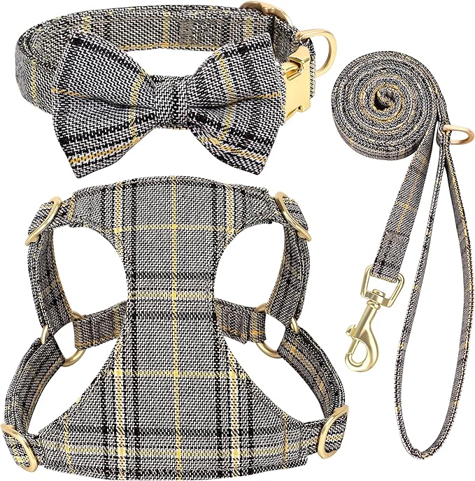 Beirui Cute Extra Small Dog Harness and Leash Set, Gray,XXS,Chest 12-14"