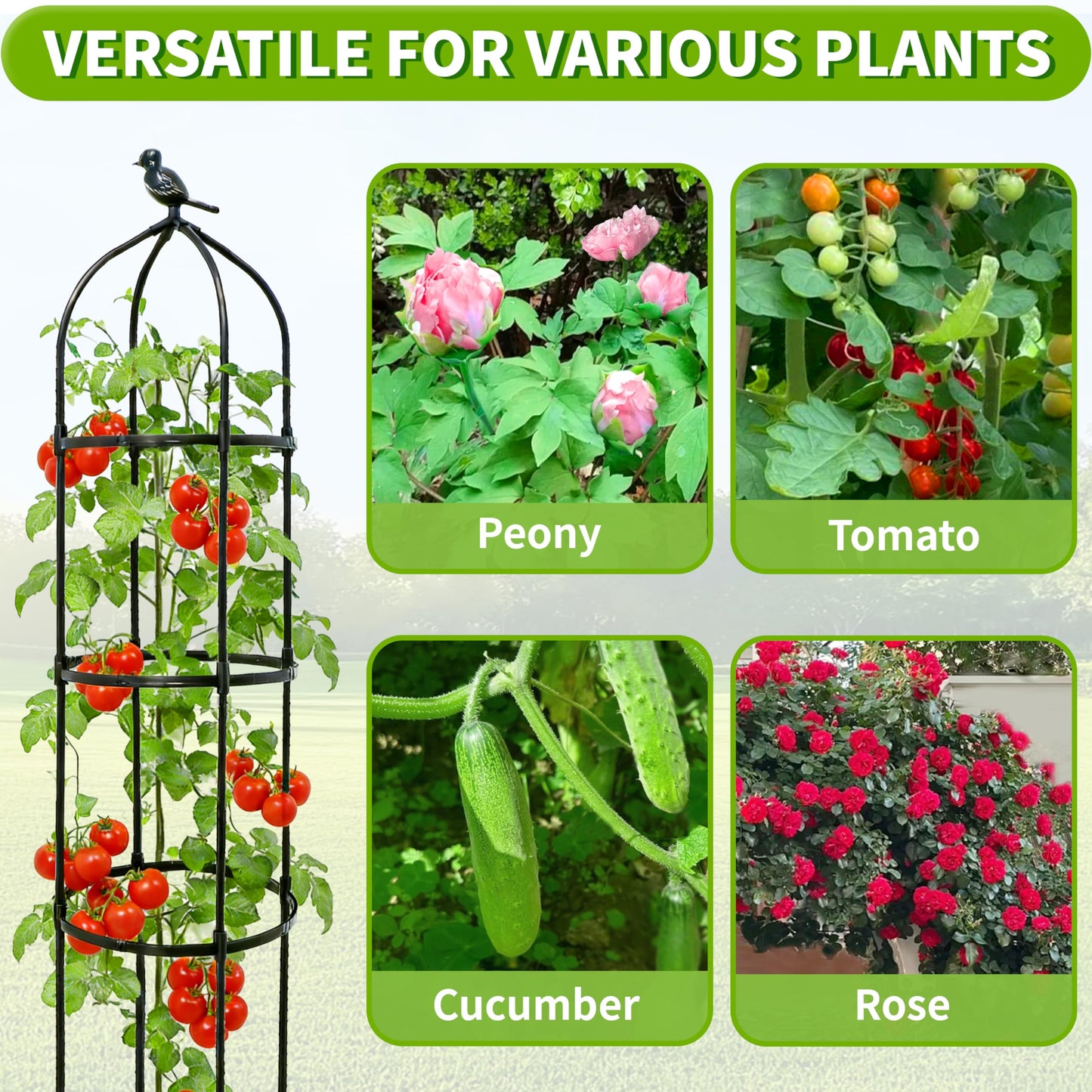 2-Pack 6FT Garden Obelisk Trellis for Climbing Plants,Adjustable 4-Tier Metal Plant Support,Rustproof Outdoor Plant Tower with 3 Decorative Tops for Roses,Tomatoes,Clematis & Vines,Black