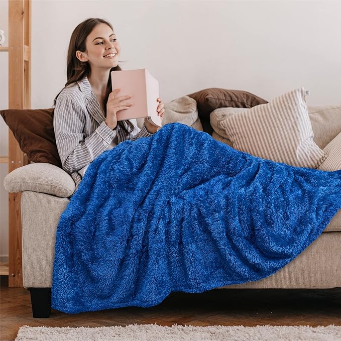 PAVILIA Sherpa Throw Blanket for Couch Sofa, Blue Fluffy Warm Plush Blanket for Bed, Cozy Super Soft Lightweight Throw, Fuzzy Decorative Blanket, All Season Home, 50x60