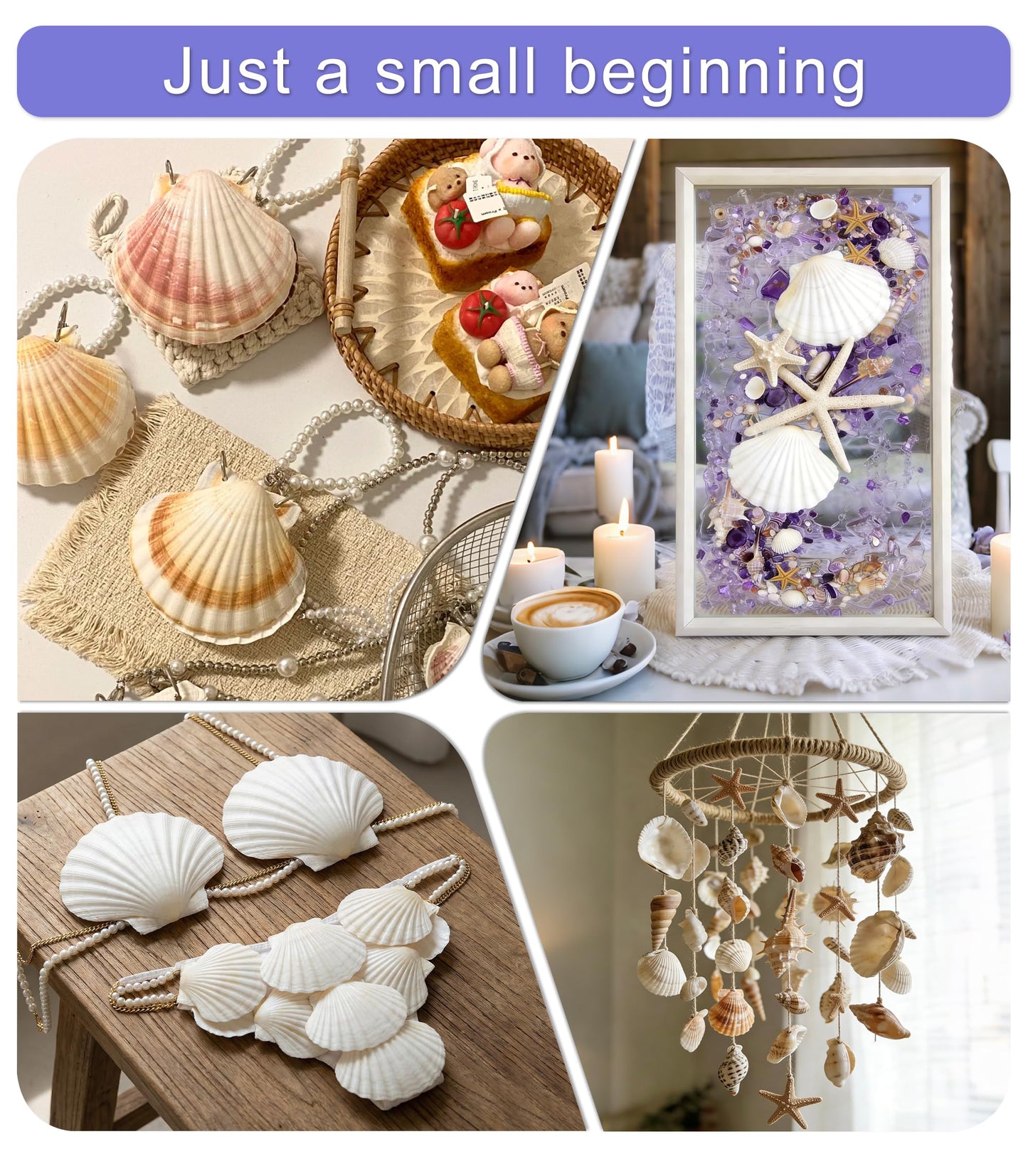 Denking 20 PCS Scallop Shells 3.5-4 inch Natural White Seashells for DIY Painting, Craft, Baking, Beach Wedding & Home Decor(20PCS 3.5"-4")