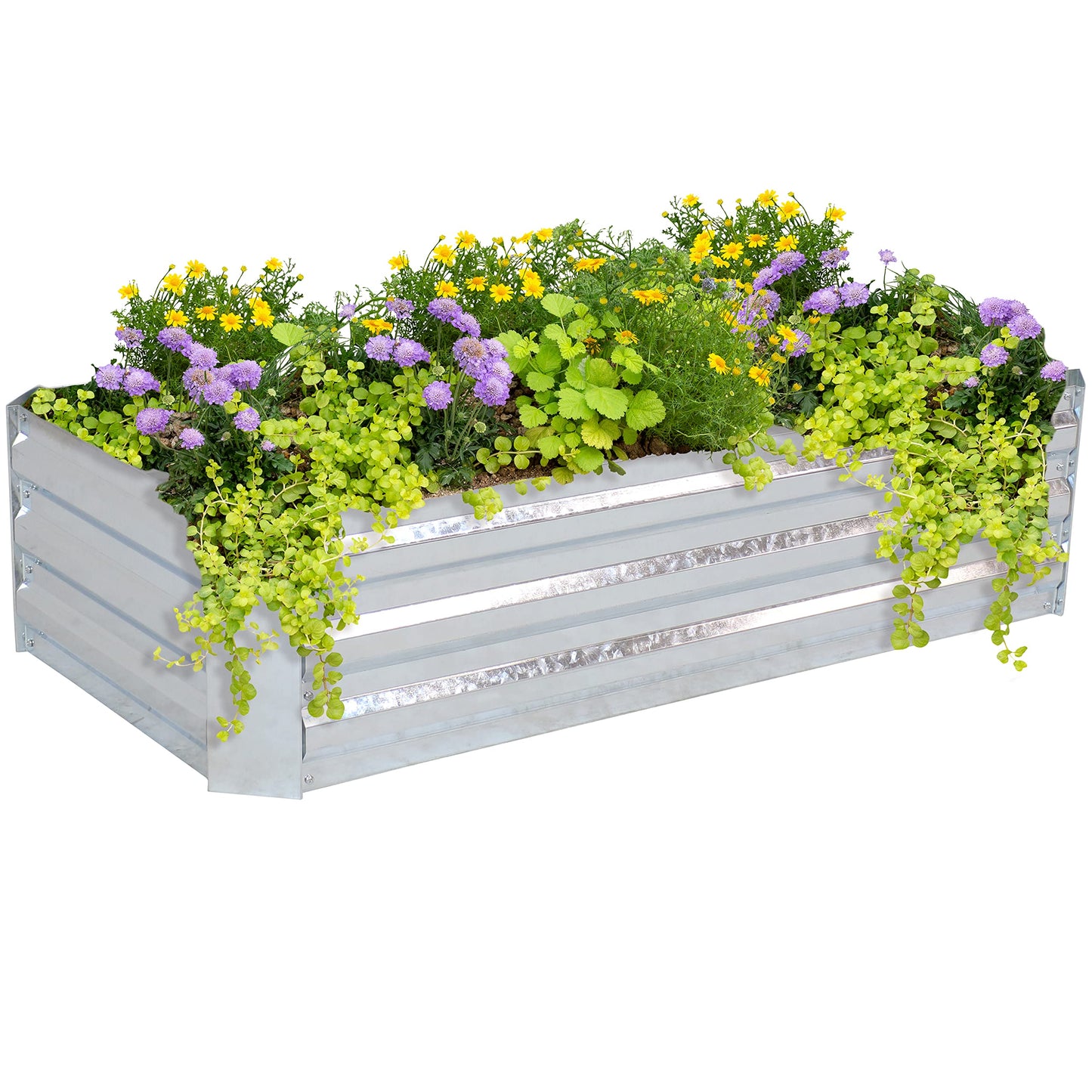Sunnydaze Galvanized Raised Garden Bed Kit - 4x2x1 ft Outdoor Raised Garden Bed - Metal Planter Box for Vegetables, Flowers, Herbs - Silver - 4' x 2' Rectangle