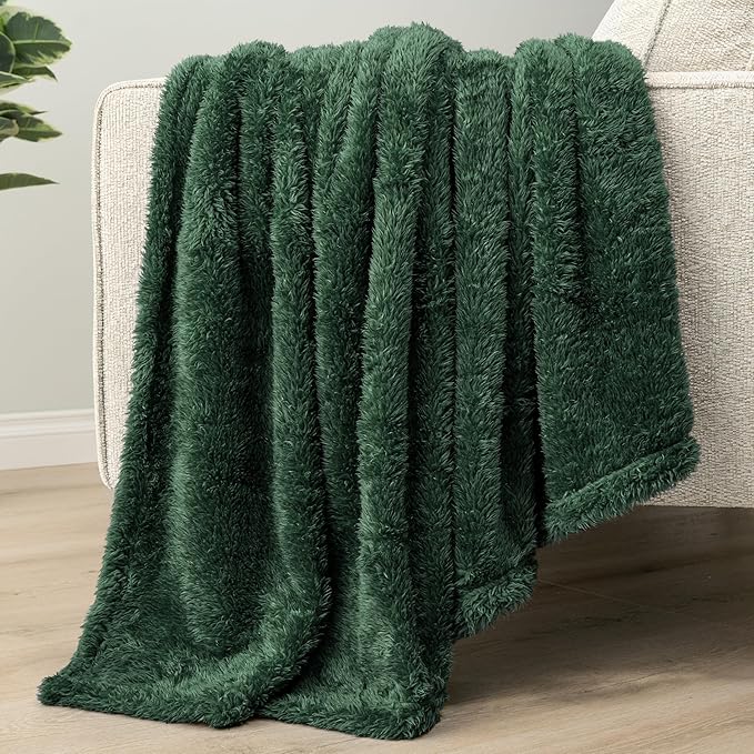 PAVILIA Sherpa Throw Blanket for Couch Sofa, Emerald Green Fluffy Warm Plush Blanket for Twin Bed, Cozy Super Soft Lightweight Throw, Fuzzy Decorative Blanket, All Season Home, 60x80