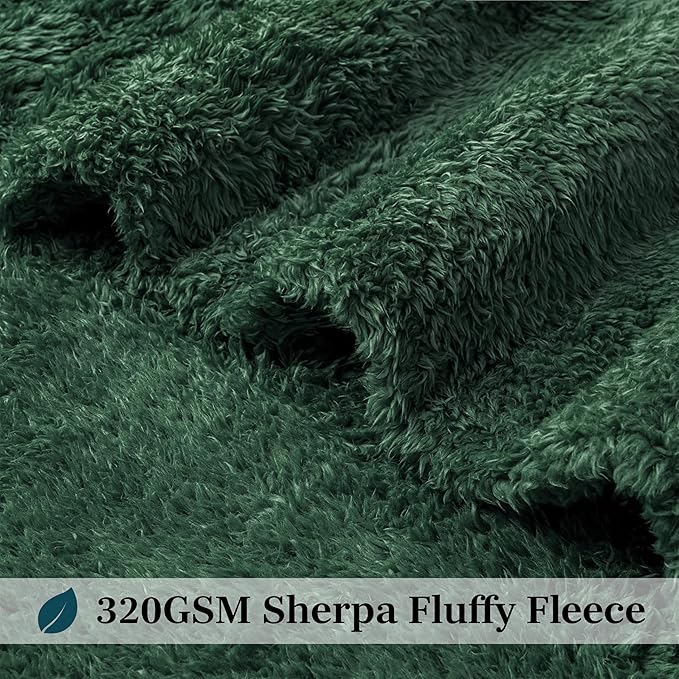 PAVILIA Sherpa Throw Blanket for Couch Sofa, Emerald Green Fluffy Warm Plush Blanket for Twin Bed, Cozy Super Soft Lightweight Throw, Fuzzy Decorative Blanket, All Season Home, 60x80