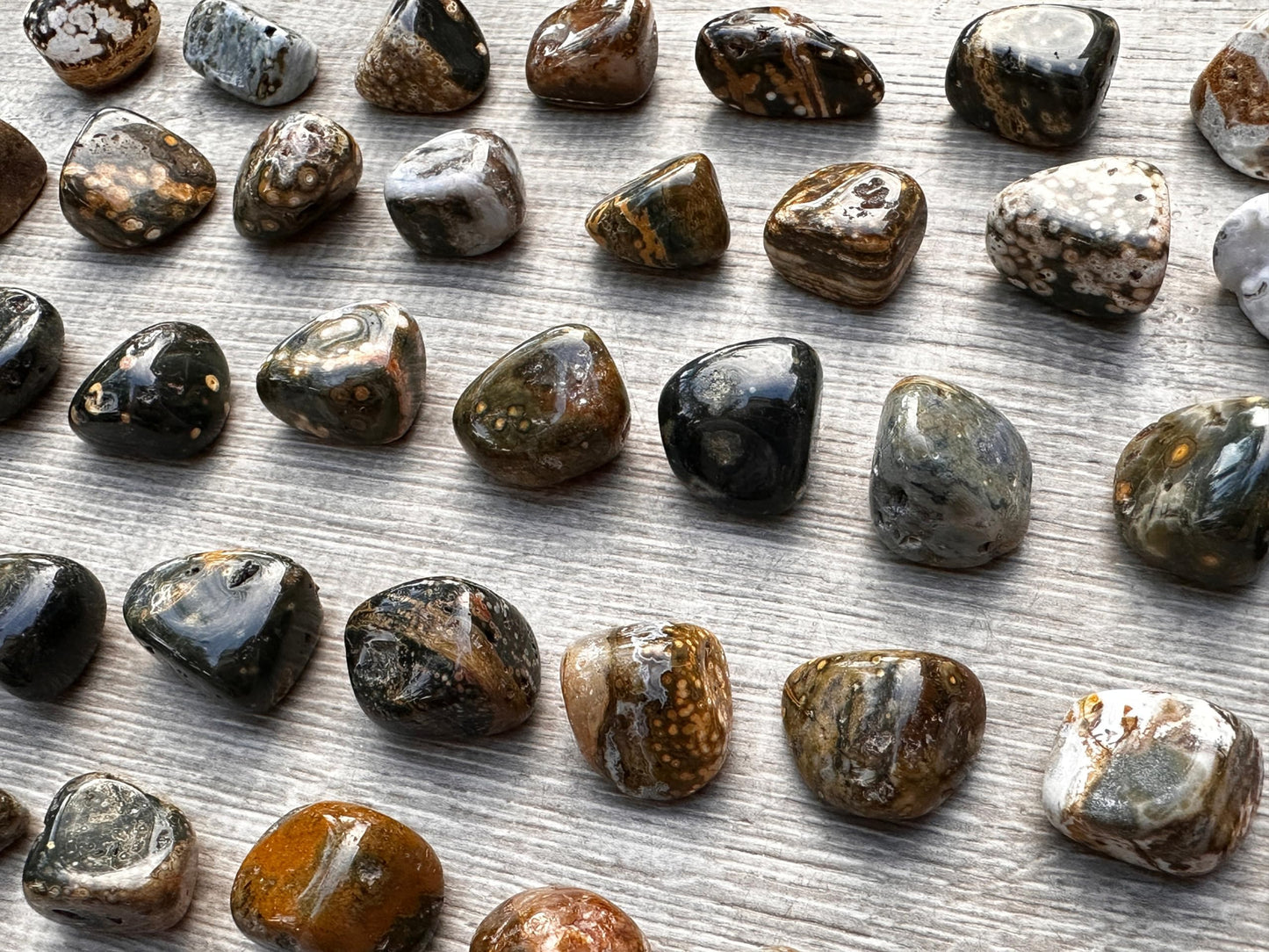 GAF TREASURES 5 Pcs Ocean Jasper Tumbled Stones, Polished Natural Sea Jasper Gemstone, Ocean Jasper Healing Crystals (Ocean Jasper)