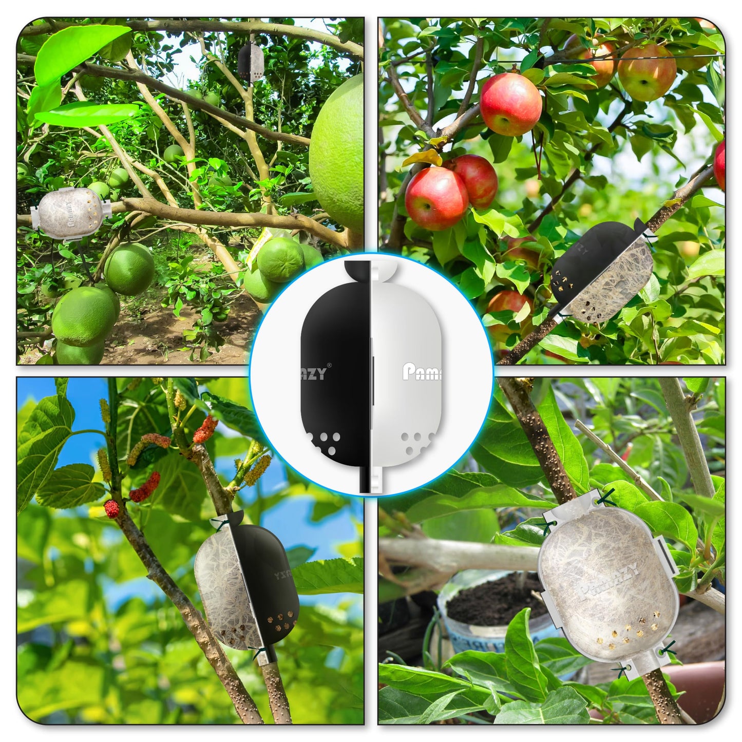 PAMAZY [Upgraded] 9Pcs Tree Root Growing Box with Drain Holes, Half Transparent Plant Rooting Propagation Ball & Metal Core Twist Ties, for Fast Propagation Plants (Size M)