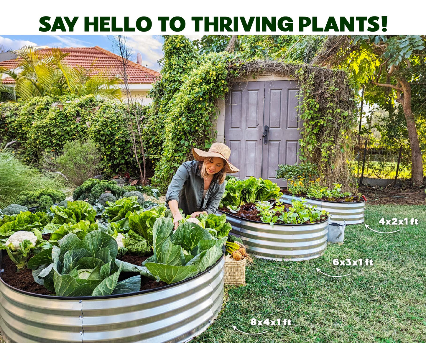 Plant & Plot Galvanized Raised Garden Beds Outdoor // 4×2×1 ft Planter Raised Bed for Gardening, Vegetables, Flowers // Large Metal Garden Box (Silver) // Patented Tool-Free Design