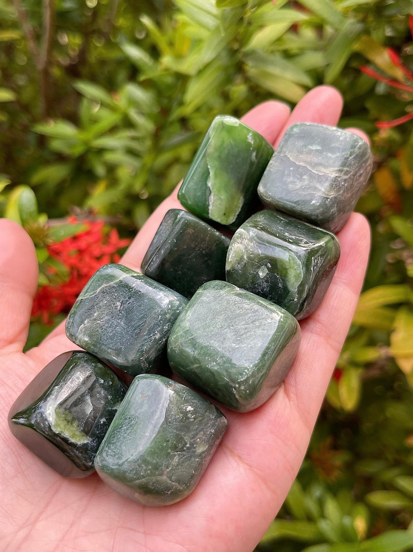 GAF TREASURES 5 Pcs Nephrite Jade Tumbled Stones, Polished Natural Nephrite Jade Gemstone, Nephrite Jade Healing Crystals (Nephrite Jade)