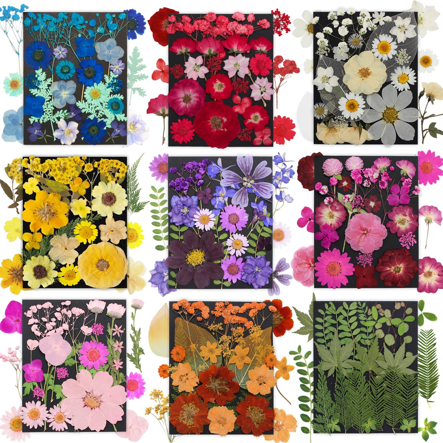 TrendCart 285Pcs 9 Packs Mixed Types Real Natural Dried Pressed Flowers & Leaves for Resin Molds, DIY Crafts, Jewelry Making + 100Pcs Butterfly Stickers + Tweezers