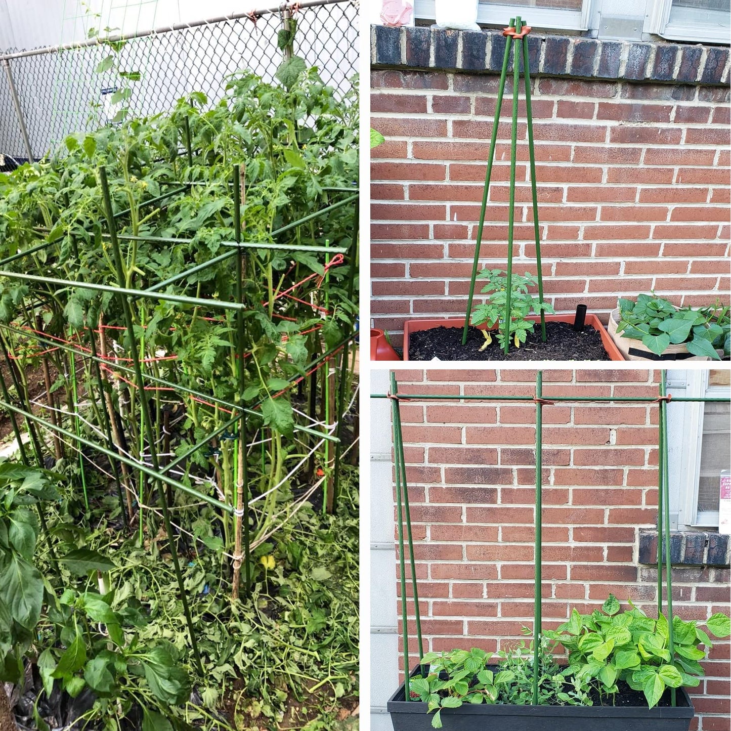 YIDIE Sturdy Metal Garden Stakes 5 Ft Plastic Coated Steel Plant Sticks for Tomatoes,Trees,Cucumber,Fences,Beans,Pack of 25