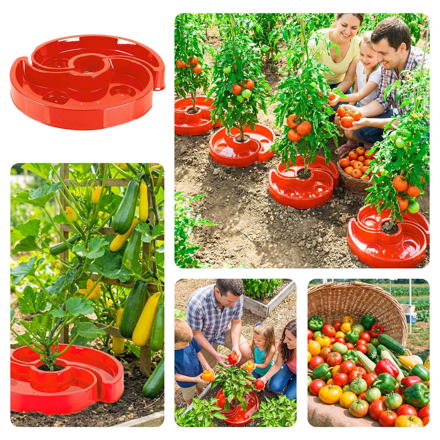HolyMaji 8 Sets Tomato Watering Ring, Aqua-Direct Red Tomato Halo for Vegetable Direct Root Irrigation, Cuts Runoff, Promotes Vigorous Plant Growth | Rapid-Stake Mount