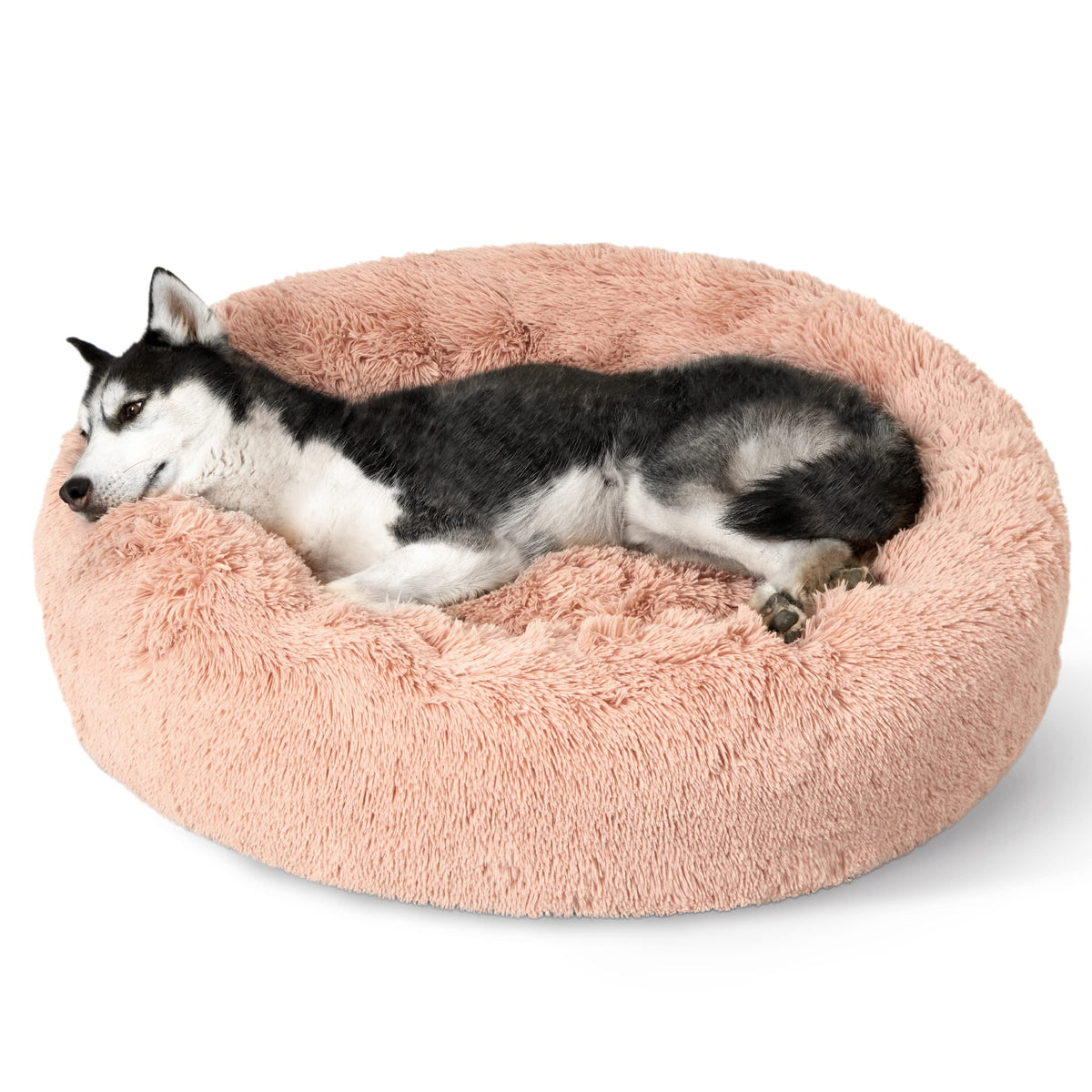 Bedsure Calming Small Medium Dog Bed Donut Washable Puppy Bed,27ins Black