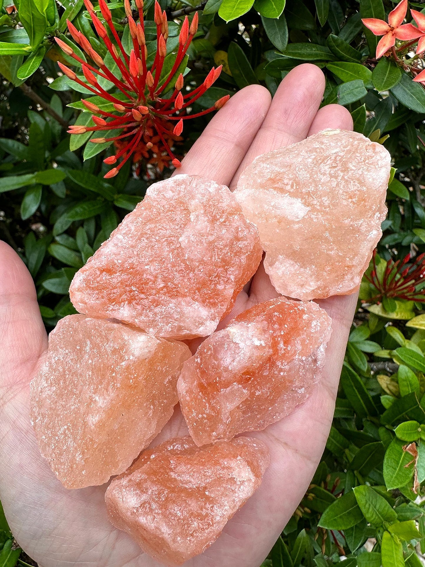 1 Pound Natural Himalayan Salt Chunks, Large Himalayan Salt Rough Crystals, Chunky Crystals, Pink Sea Salt, Crystal Rocks