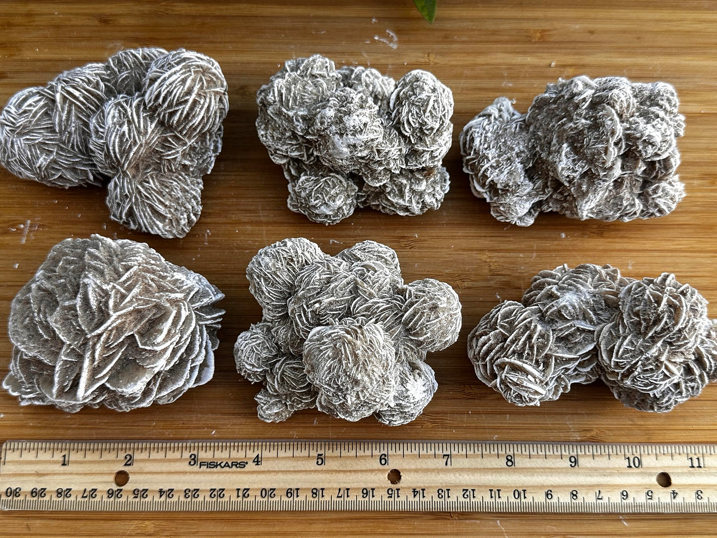GAF TREASURES XL Raw Desert Rose, 3-4" Natural Rough Desert Rose, Desert Rose Rough, Desert Rose Healing Rough Crystal (Desert Rose, 0.5-1 lb)