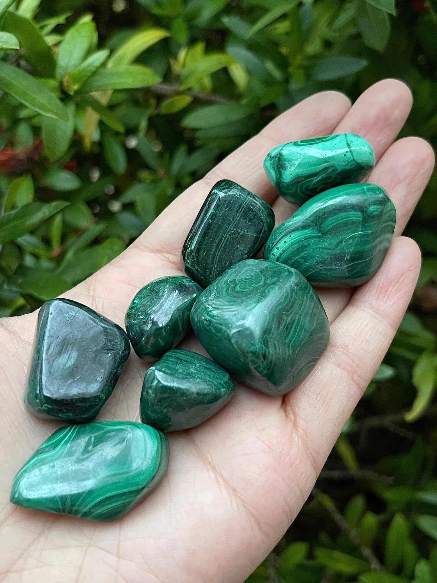 GAF TREASURES 5 Pcs Malachite Tumbled Stones, Polished Natural Malachite Gemstone, Malachite Healing Crystals (Malachite)