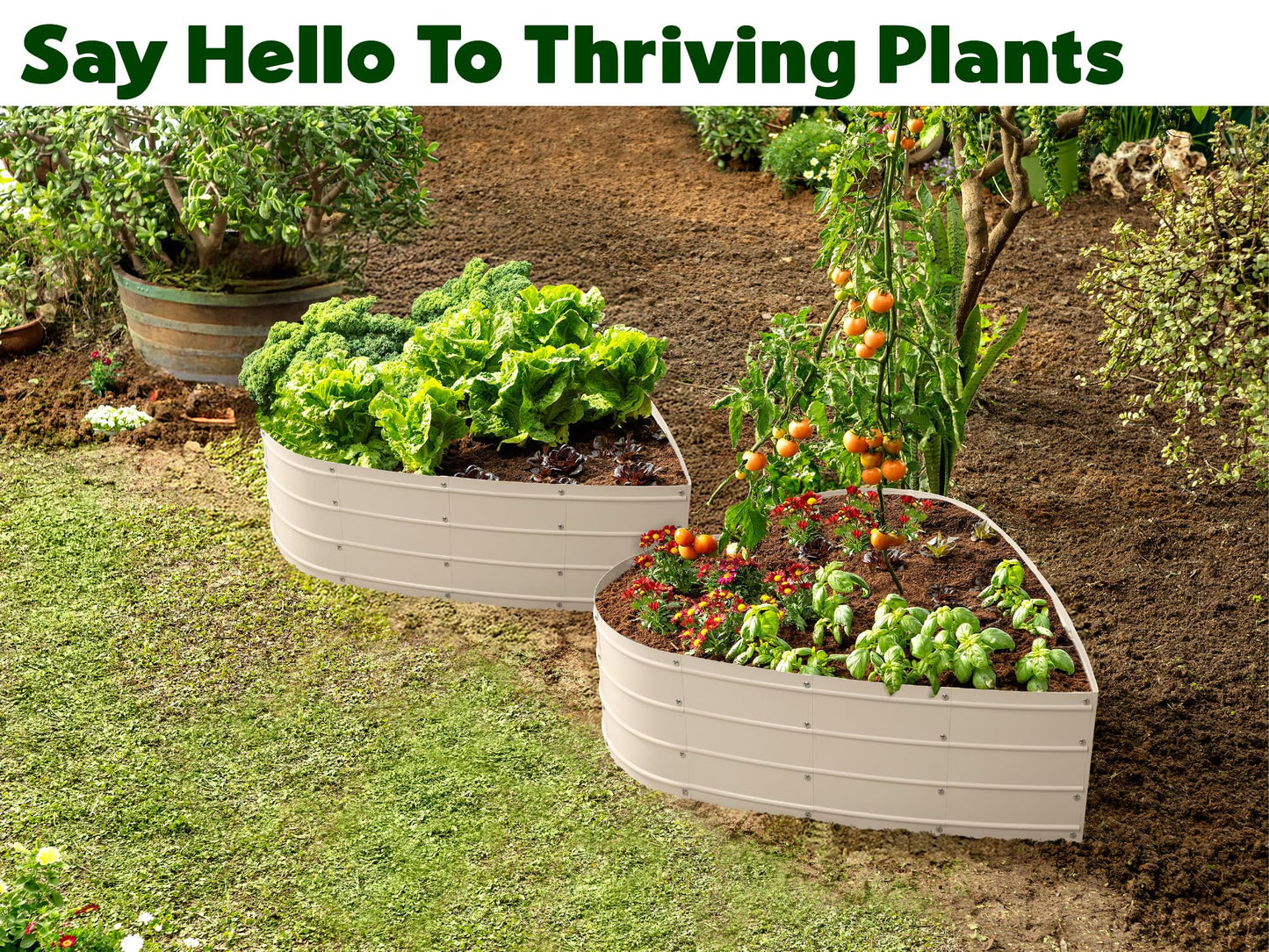 Plant & Plot Galvanized Raised Garden Beds Outdoor // Planter Raised Beds for Gardening, Vegetables, Flowers // Large Metal Garden Box (White) // Tool-Free Assembly