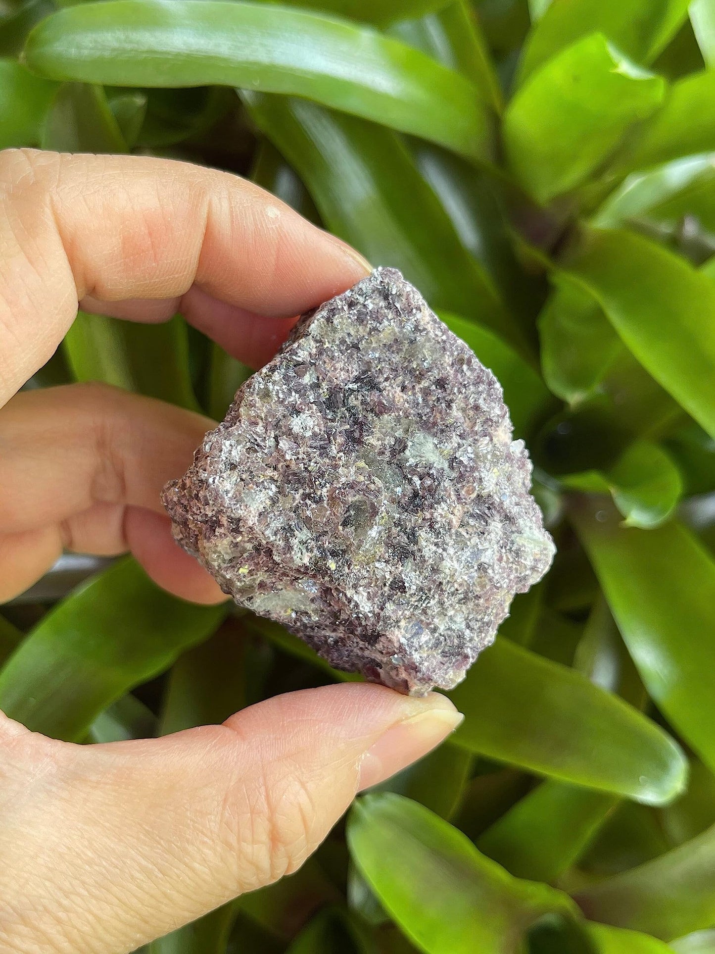 GAF TREASURES Wholesale Raw Lepidolite Crystals, Natural Lepidolite Stone, Natural Rough Lepidolite Crystals, Lepidolite Rough, Lepidolite Healing Crystals (Lepidolite, 0.5 Pound)