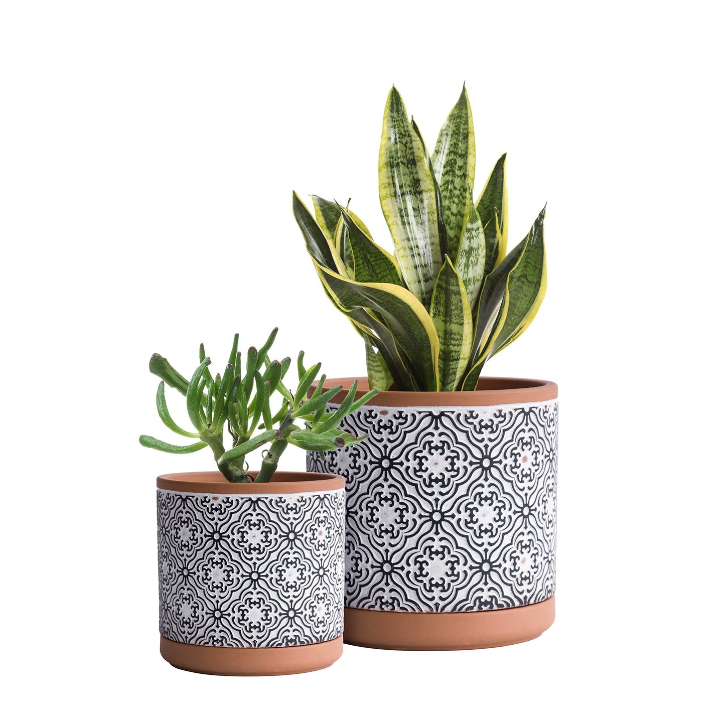 D'vine Dev Set of 2 Terracotta Pots, Vintage Design Planter Pot, 4 Inch and 6 Inch, Pot with Drainage Hole and Saucer, Terracotta/Black, 31-958-E-2
