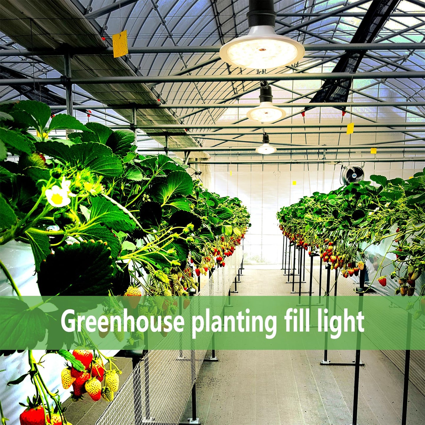JMXULONG Outdoor LED Grow Lights, Waterproof String Grow Light, Full Spectrum Plant Growing Lights with 12Ft Adjustable Cord 3 Lights
