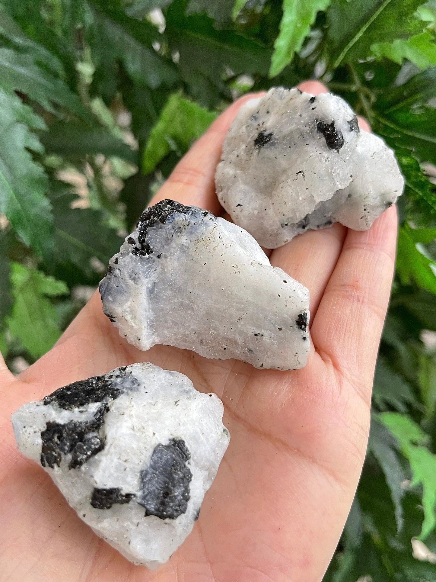 GAF TREASURES Wholesale Raw Rainbow Moonstone Crystals, Natural Rainbow Moonstone Stone, Rainbow Moonstone Rough, Rainbow Moonstone Healing Crystals (Rainbow Moonstone, 0.5 Pound)