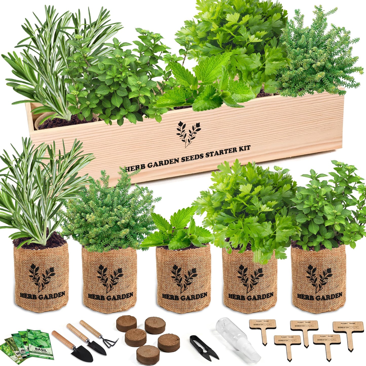 Indoor Herb Garden Starter Kit, Including A Complete Gardening Tools for Women Parents Gift