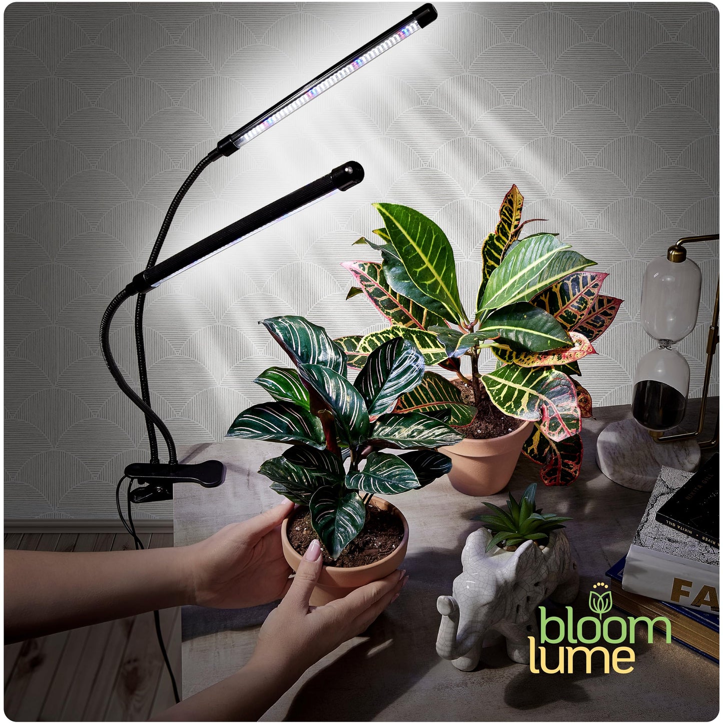 Bloom Lume LED Grow Lights for Indoor Plants Full Spectrum - Features Multi Mode Color Spectrums, Dimmable, Auto Timer, Clip on Goosneck Plant Lamp