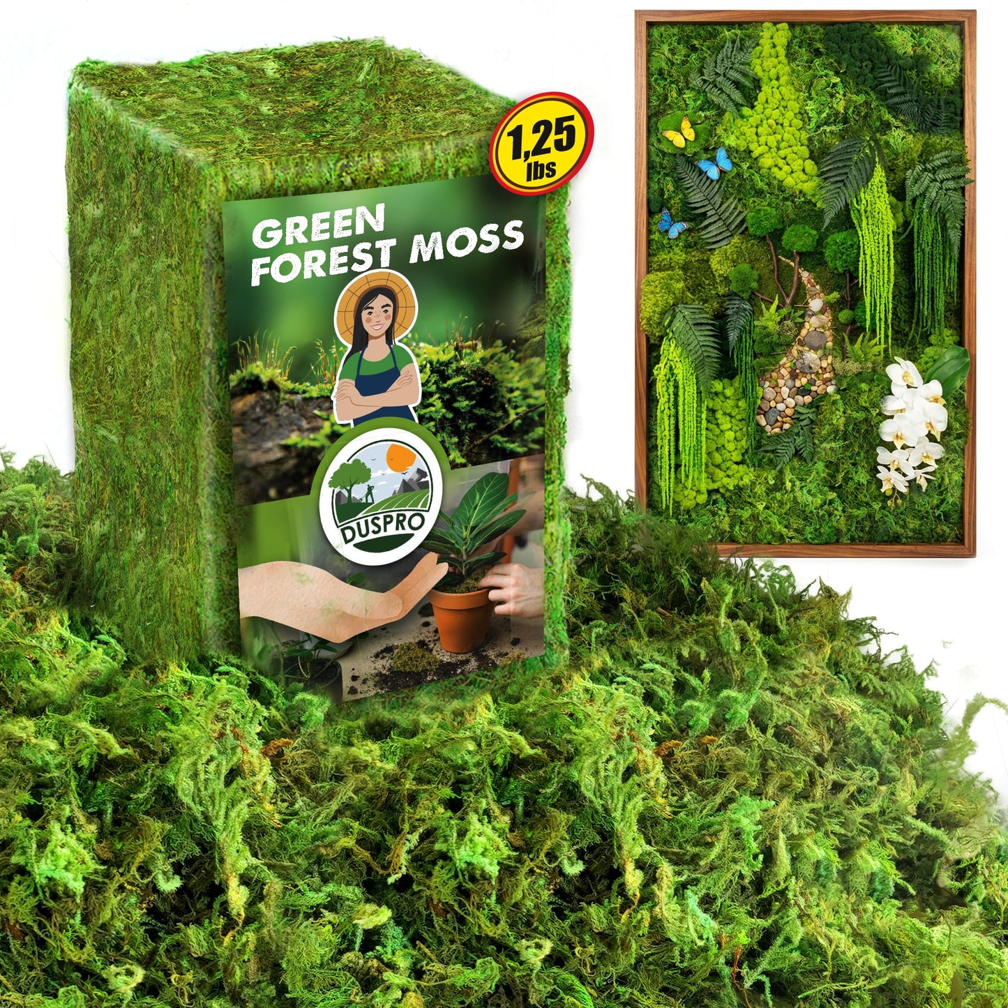 DUSPRO Green Forest Moss for Crafts, Real Dried Decorative Moss for Indoor Planter Soil Cover, Table Centerpieces, Wedding, Easter & Christmas Decor, DIY Projects, 1.25 Lbs