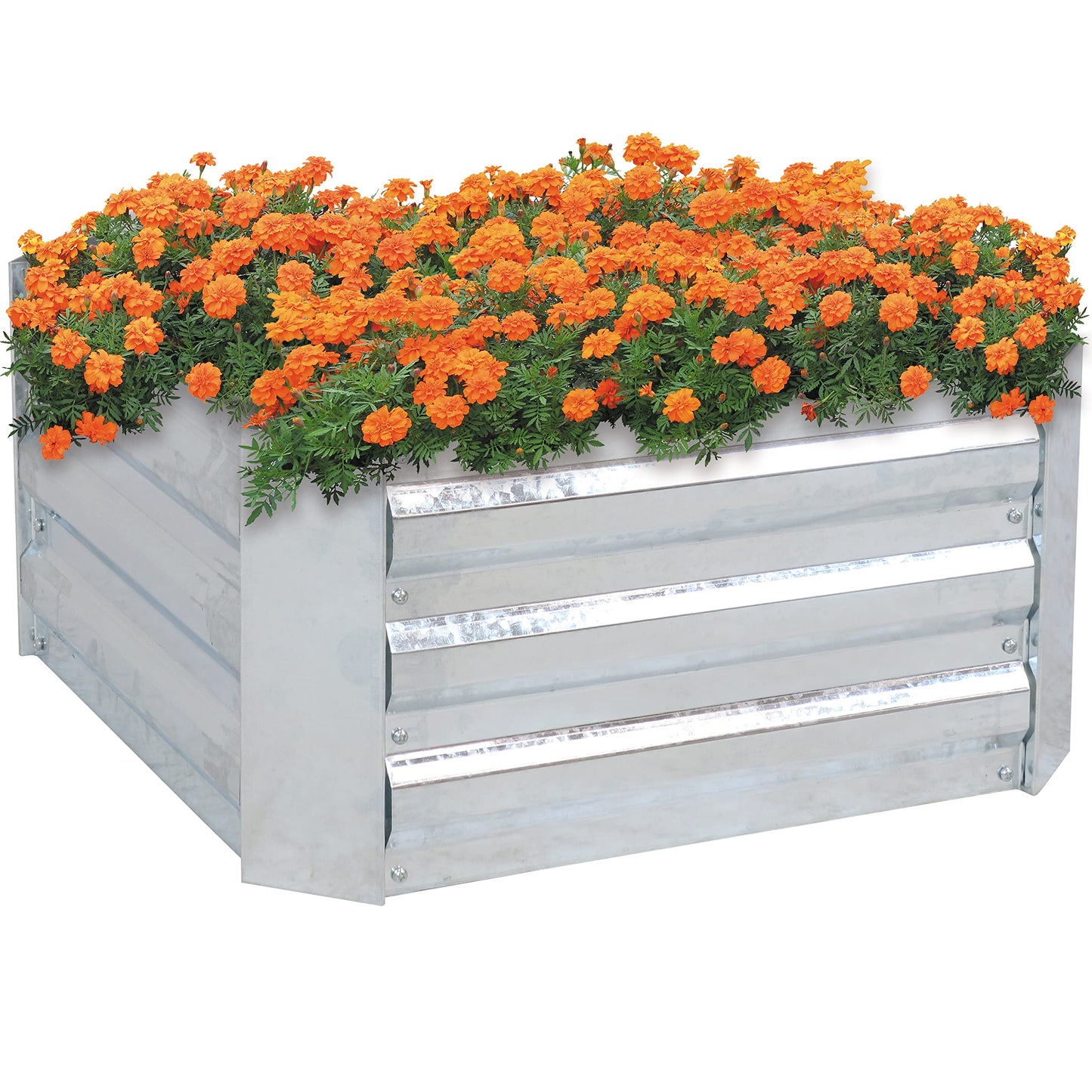 Sunnydaze Galvanized Raised Garden Bed Kit - 2x2x1 ft Outdoor Raised Garden Bed - Metal Planter Box for Vegetables, Flowers, Herbs - Silver - Square