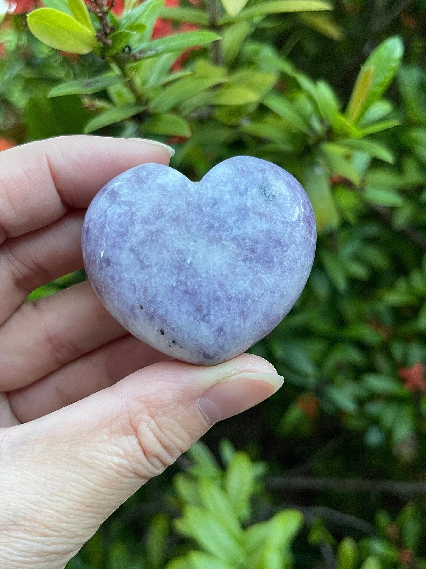 GAF TREASURES Lepidolite Gemstone Hearts, Polished Lepidolite Puffy Hearts, Lepidolite Crystal Palm Stone, Lepidolite Healing Crystal Hearts (1 Heart)