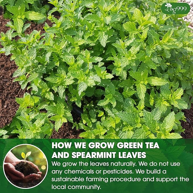 TOG999, Premium Moroccan Mint Green Tea | 30 Tea bags | Traditional Green Tea with Spearmint – Refreshing Flavor, Premium Quality Herbal Blend. Gluten-Free. Vegan