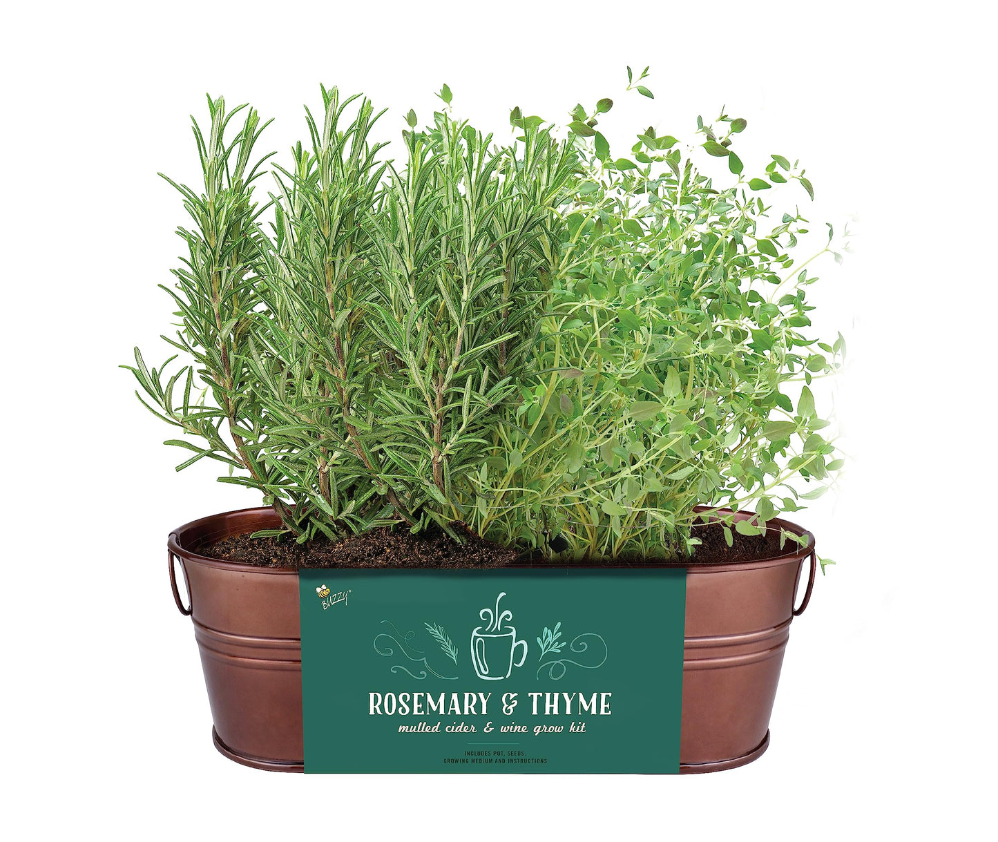BUZZY Seeds Indoor Herb Garden Kit | Grow Rosemary and Thyme with Non-GMO Seeds | DIY Windowsill Planter Starter Set for Kitchen Countertop, Indoor Gardening, Holiday Gift, Home Decor