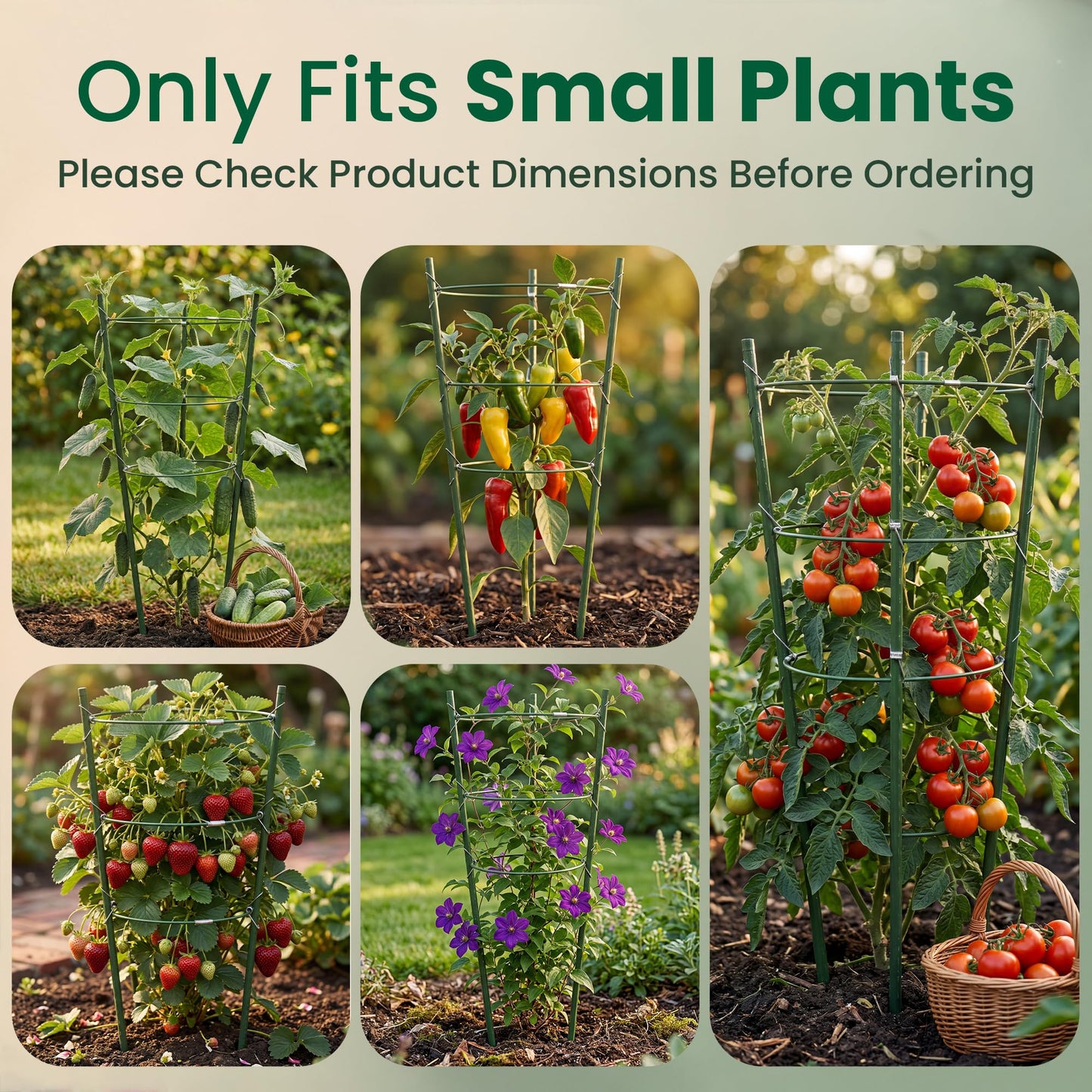 Oriva 4 Pack Round Tomato Cages for Garden, 43cm Adjustable Metal Tomato Cage with Anti Slip Locking Rings, Tomato Trellis and Plant Support for Raised Garden Beds, Pots and Climbing Vegetables