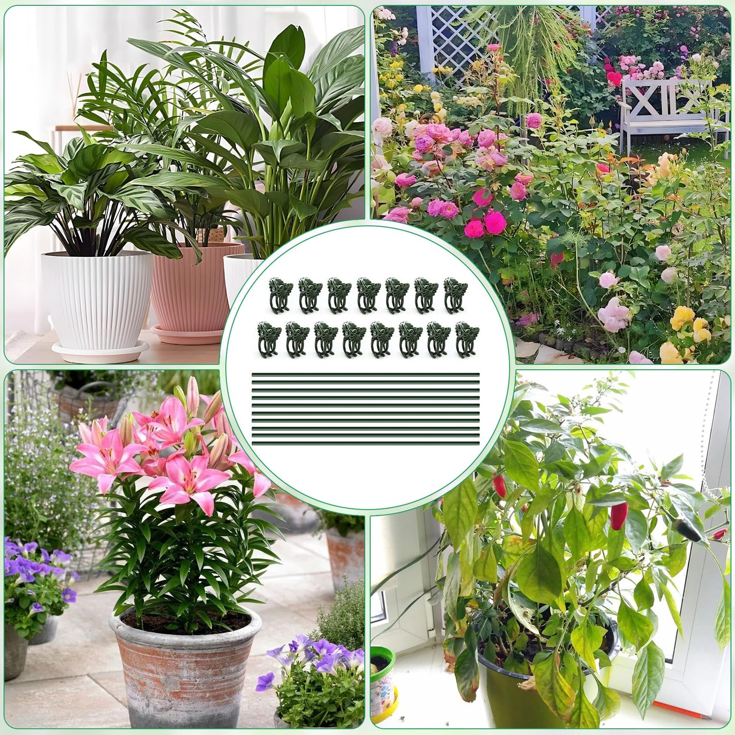20pcs 15.7" Plant Stakes with 30pcs Clips, Bendable Orchid Stakes and Clips Set Support Tall for Indoor/Outdoor Plants,Potted Plants,Single Stem Vines Flower Plant Support Sticks for Orchid Rose Peony