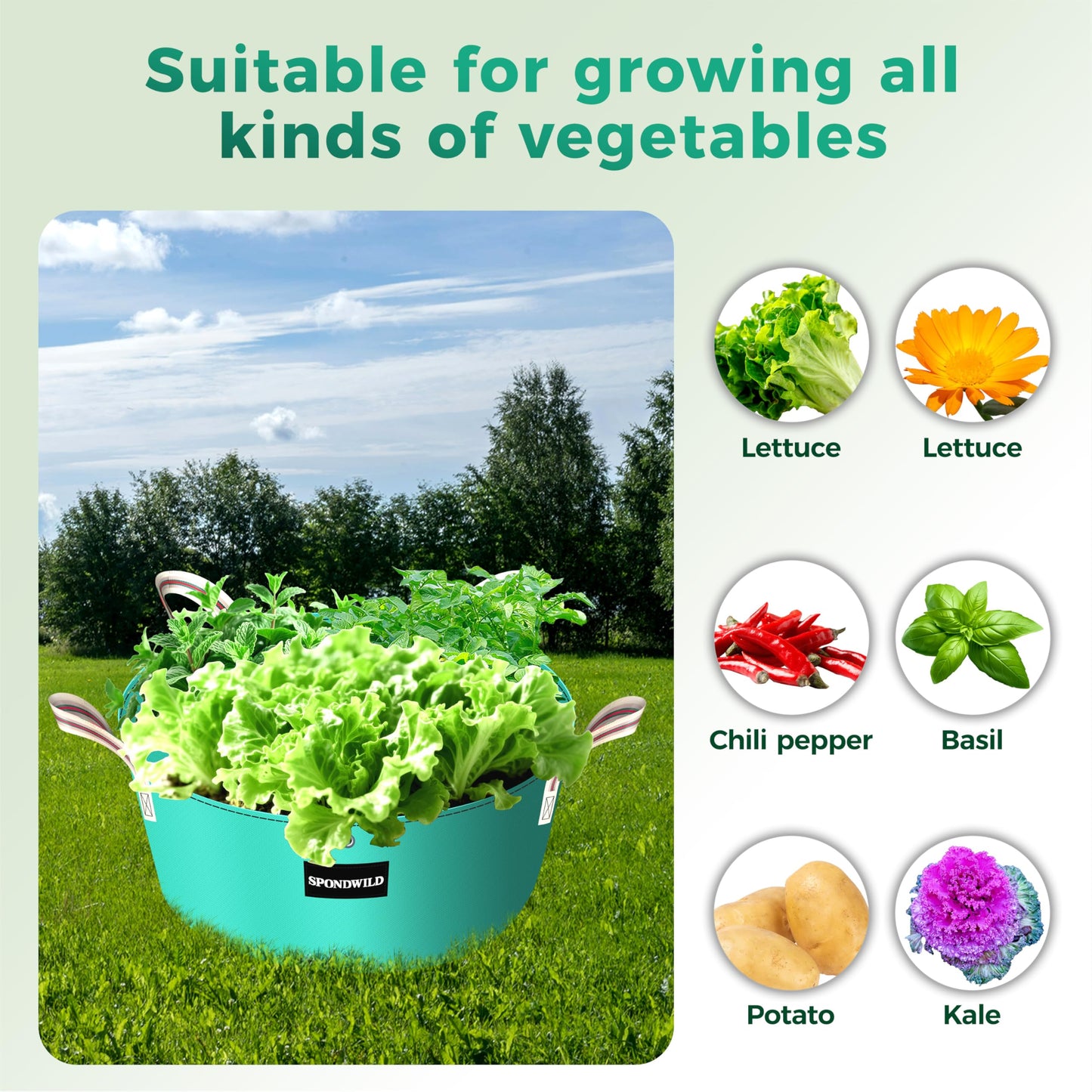 SPONDWILD [Upgraded] 2 Pack 10 Gallon 3 Compartment Grow Bag, Vegetable Growing Bag Thickened PE Garden Pots with Drainage Holes, Branch-Binding Holes, Reusable Plant Bag for Vegetables,Flowers
