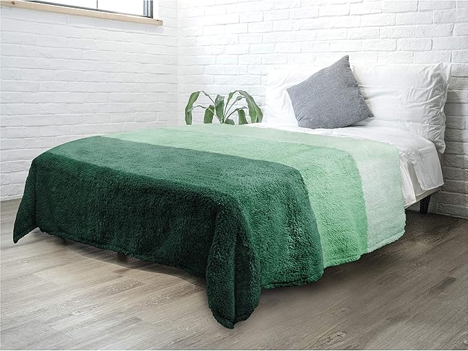 PAVILIA Fluffy Sherpa Throw Blanket Ombre | Gradient Plush, Soft, Fuzzy, Decorative Accent Throw Blanket for Couch Sofa Twin Bed | Cozy Warm Decorative Furry Faux Fur Blanket, 60x80 Inches Green