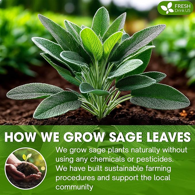 FreshDrinkUS, Sage Leaf Powder 16oz – Premium Culinary Herb, Pure Ground Sage Leaves for Cooking, Baking & Herbal Infusions – Resealable Pouch