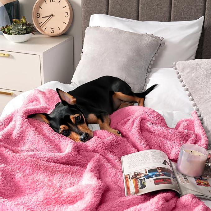 PAVILIA Sherpa Throw Blanket for Couch Sofa, Pink Fluffy Warm Plush Blanket for Twin Bed, Cozy Super Soft Lightweight Throw, Fuzzy Decorative Blanket, All Season Home, 60x80