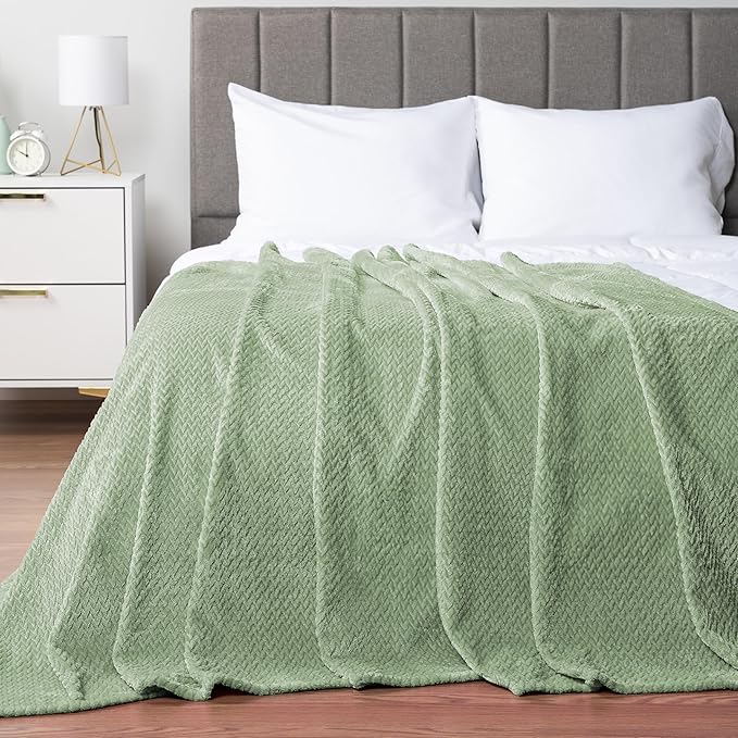 PAVILIA Soft Fleece Light Green Throw Blanket for Couch, Lightweight Plush Warm Blankets for Bed, Fuzzy Cozy Flannel Blanket Throw for Sofa, Travel, Jacquard Pattern, Sage Green, Twin, 60x80 inch