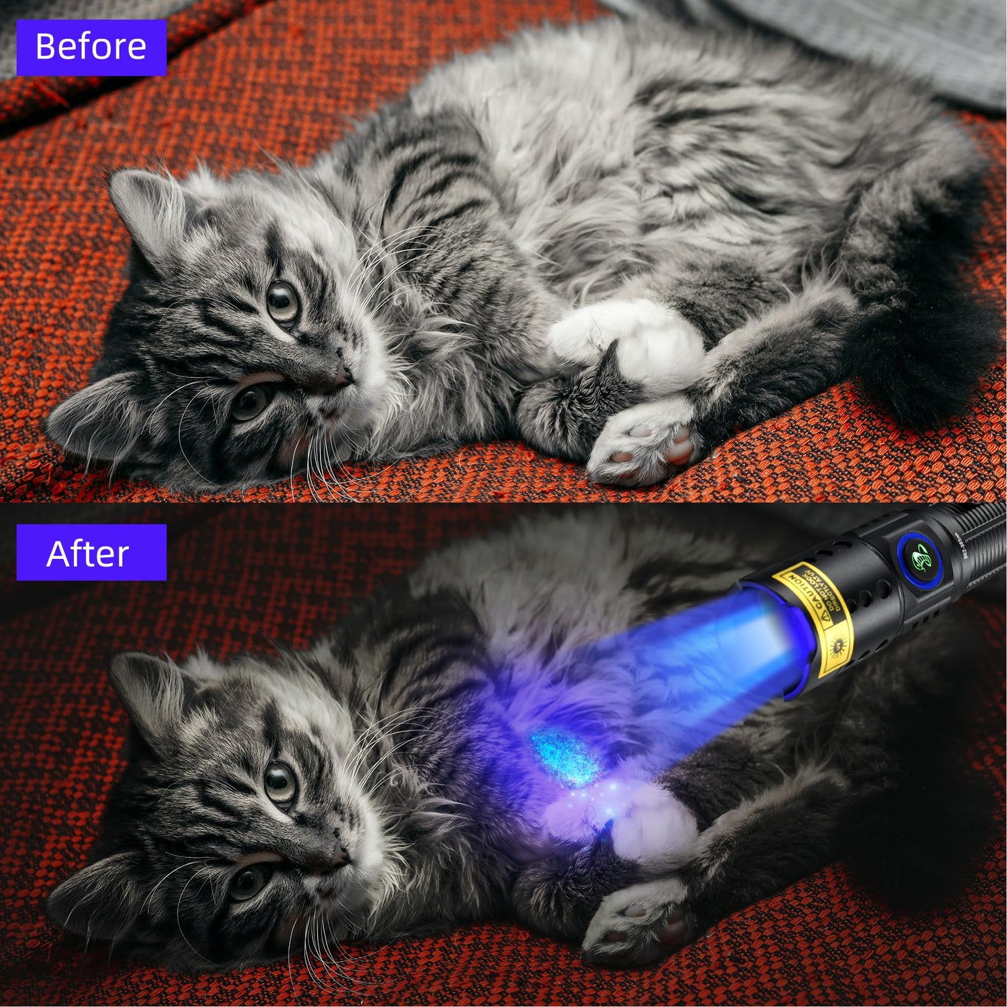 DARKBEAM 365nm UV Flashlight Black Light with Filter, Powerful Blacklight USB-C Rechargeable LED Mini Water Resistant- Detector for Pet Urine, Uranium Glass- Resin Curing- Blood Tracking