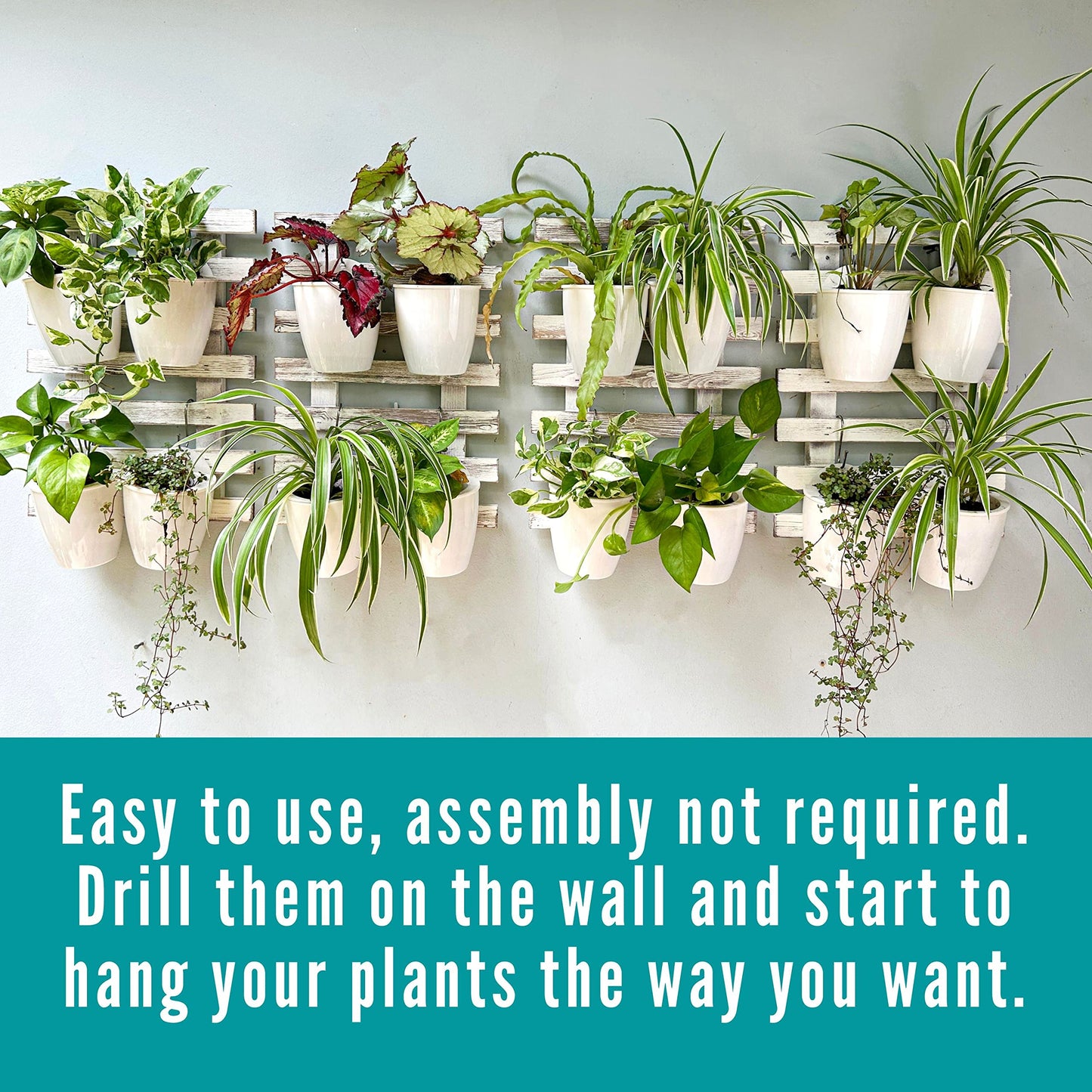 ShopLaLa Bundle - 4" White Self Watering Plastic Pots x 10 Pack + White Wooden Hanging Planter, Rustic Vertical Herb Garden Plant Holder Wall Mounted Modern Hydroponic Herb Pot LaLaGreen