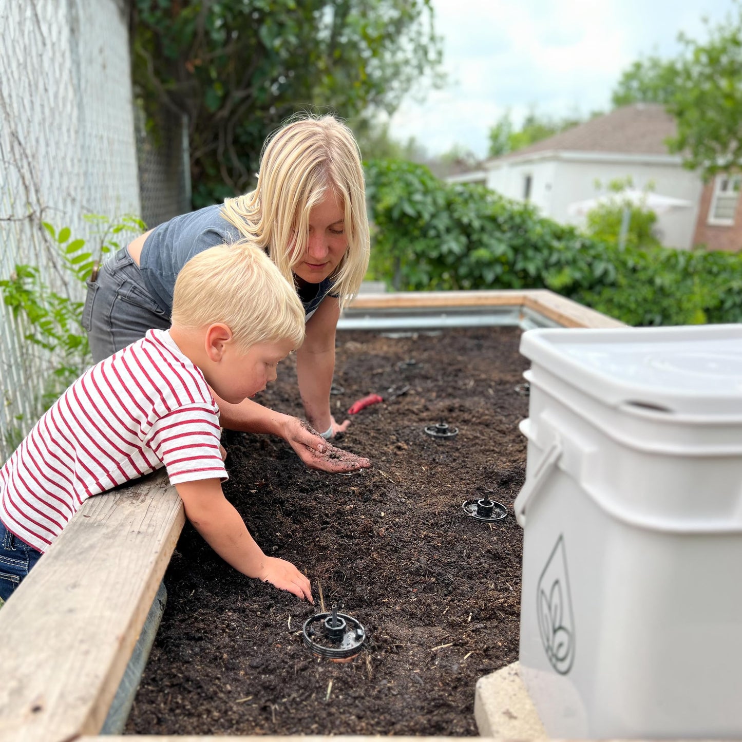 Thirsty Earth: CottaCup Automatic Olla Watering System for Your Garden (3 Cup Kit)
