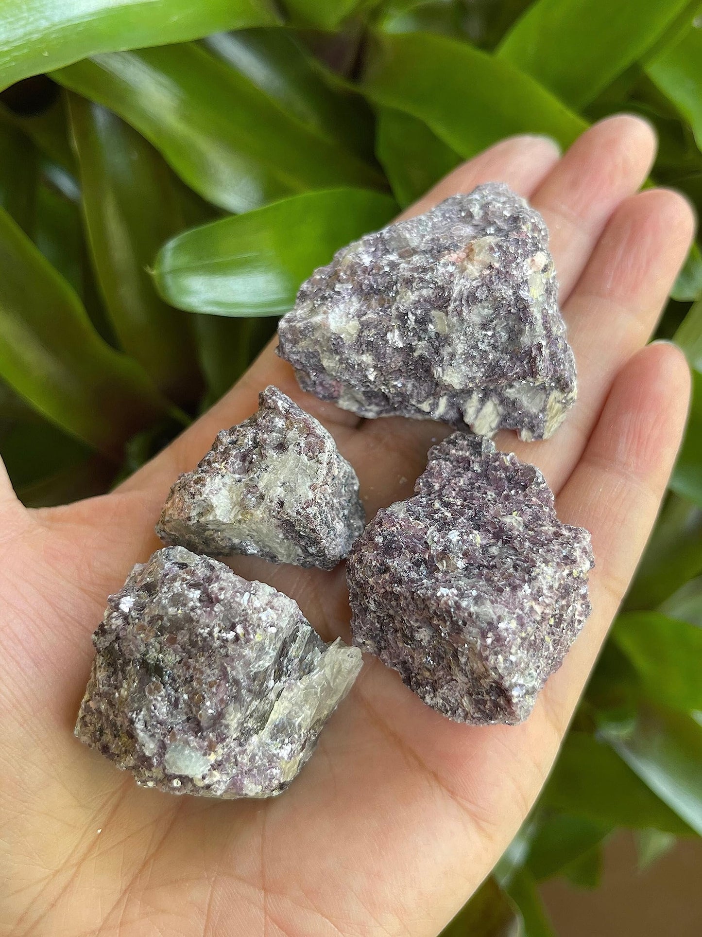 GAF TREASURES Wholesale Raw Lepidolite Crystals, Natural Lepidolite Stone, Natural Rough Lepidolite Crystals, Lepidolite Rough, Lepidolite Healing Crystals (Lepidolite, 0.5 Pound)