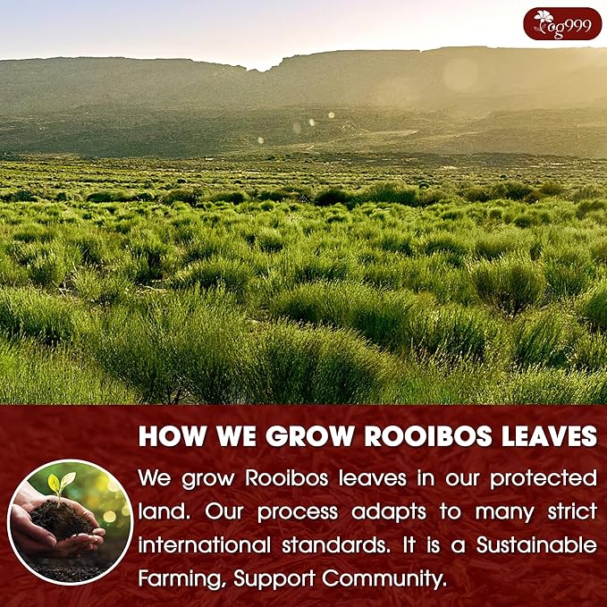 TOG999, Premium 60 Red Rooibos Tea Bags, 100% Natural & Pure from Rooibos Tea Leaves. Loose Leaf Rooibos Herbal Tea. Made with Natural Material Tea Bags. No Sugar, No Caffeine, No Gluten, Vegan.