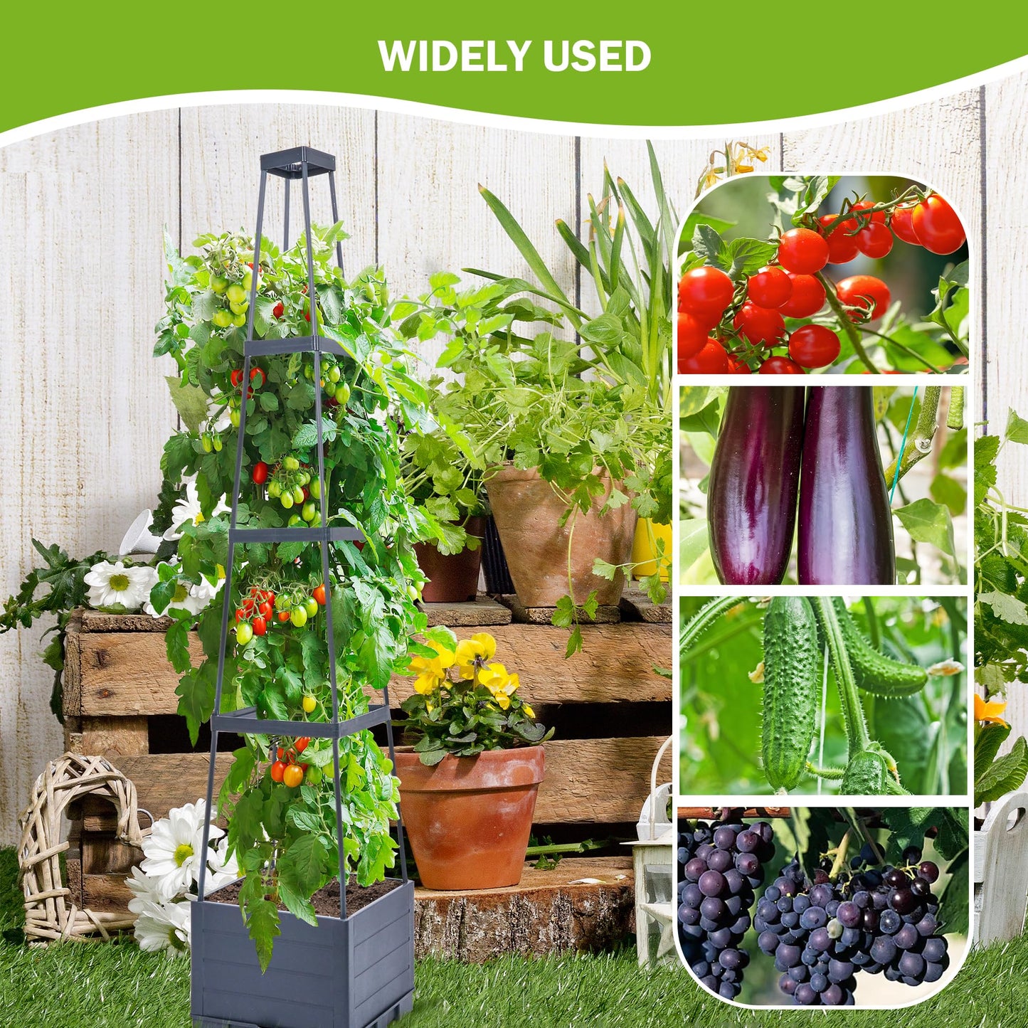 GENMOUS Raised Garden Bed with Tomato Planter Box Trellis, 56'' Tomato Cages for Garden, Tomato Planter Cage for Patio for Climbing Plants Vegetable Vine Flowers Outdoor & Indoor, 2 Pack