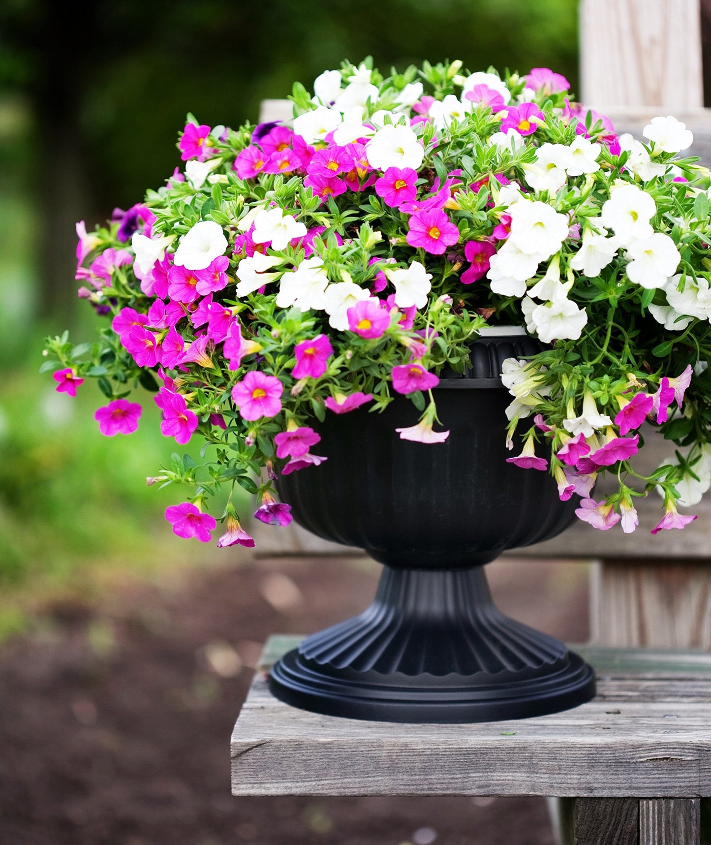 Bloem Grecian Urn Planter, 18", Peppercorn