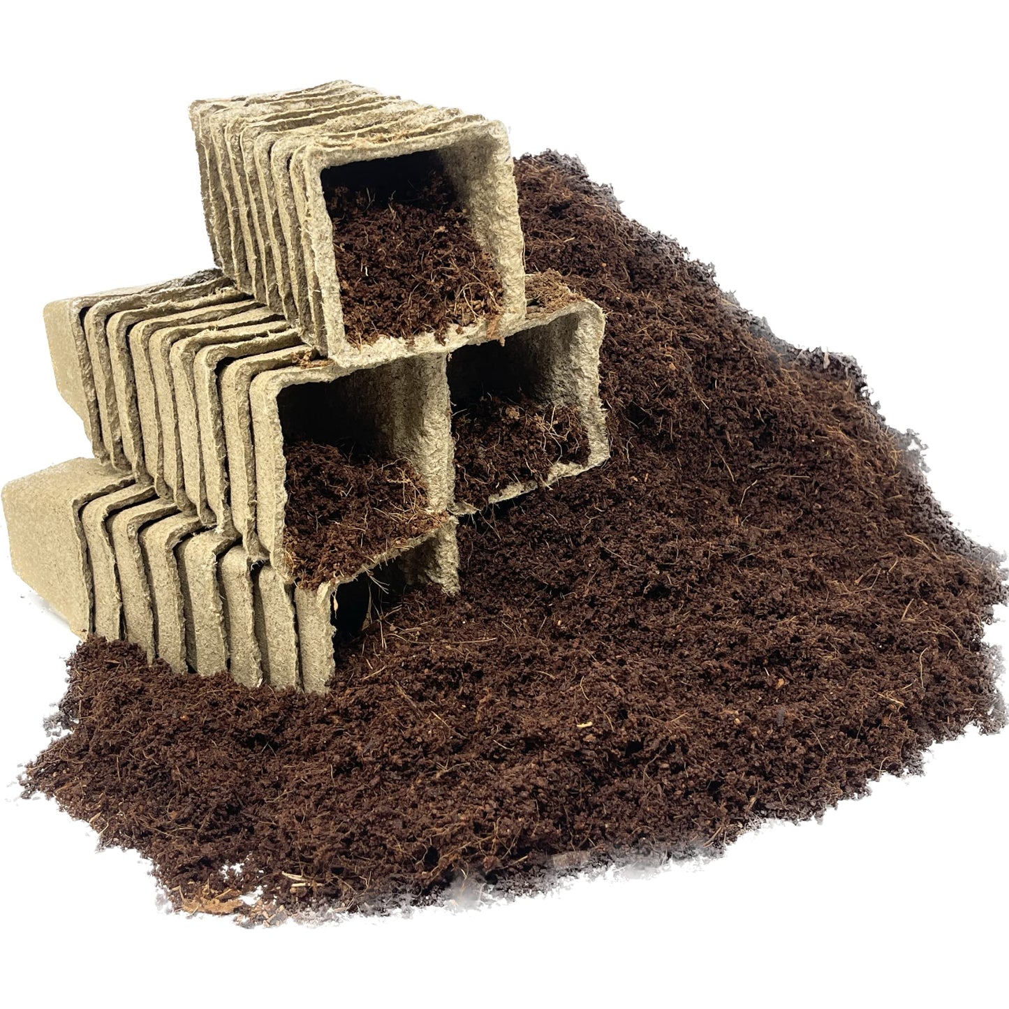 Seed Needs, Culinary Herb Seed Packet Collection Seed Starting Bundle (Includes 12 Individual Seed Packets, 36 Starter Pots & 1 Expandable Coco Coir Brick) Heirloom, Non-GMO, Untreated