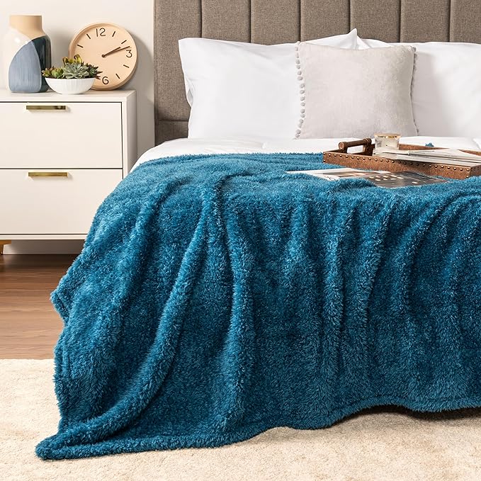 PAVILIA Sherpa Throw Blanket for Couch Sofa, Turquoise Teal Blue Fluffy Warm Plush Blanket for Twin Bed, Cozy Super Soft Lightweight Throw, Fuzzy Decorative Blanket, All Season Home, 60x80