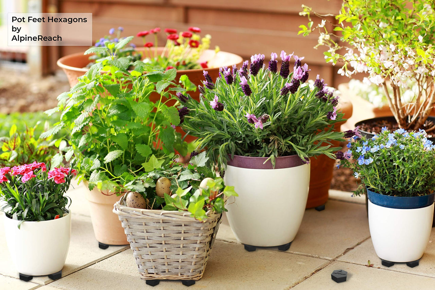 AlpineReach Extra Heavy Duty Pot Feet Risers 20 Pack Hexagons & Adhesive Pads - Protect Healthy Plants - Strong Invisible Supports Small Large Flower Planters Stability - Outdoor Lifter Toes Elevator